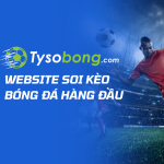 Keonhacai5 ✅ Tra Cứu Tỷ Lệ Kèo Nhà Cái 5 Chuẩn Xác & Nhanh Chóng