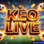 Tổng Quan Về Áp dụng Toán Học vào Công Thức Soi Kèo