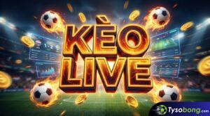 Hướng dẫn chơi kèo live, cách đọc diễn biến trận đấu và thời điểm vàng để đặt cược trong trận.