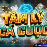 Tổng Quan Về Áp dụng Toán Học vào Công Thức Soi Kèo